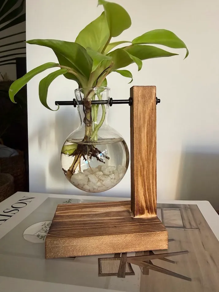 Bulbo de vidrio con una planta en agua sobre un soporte de madera