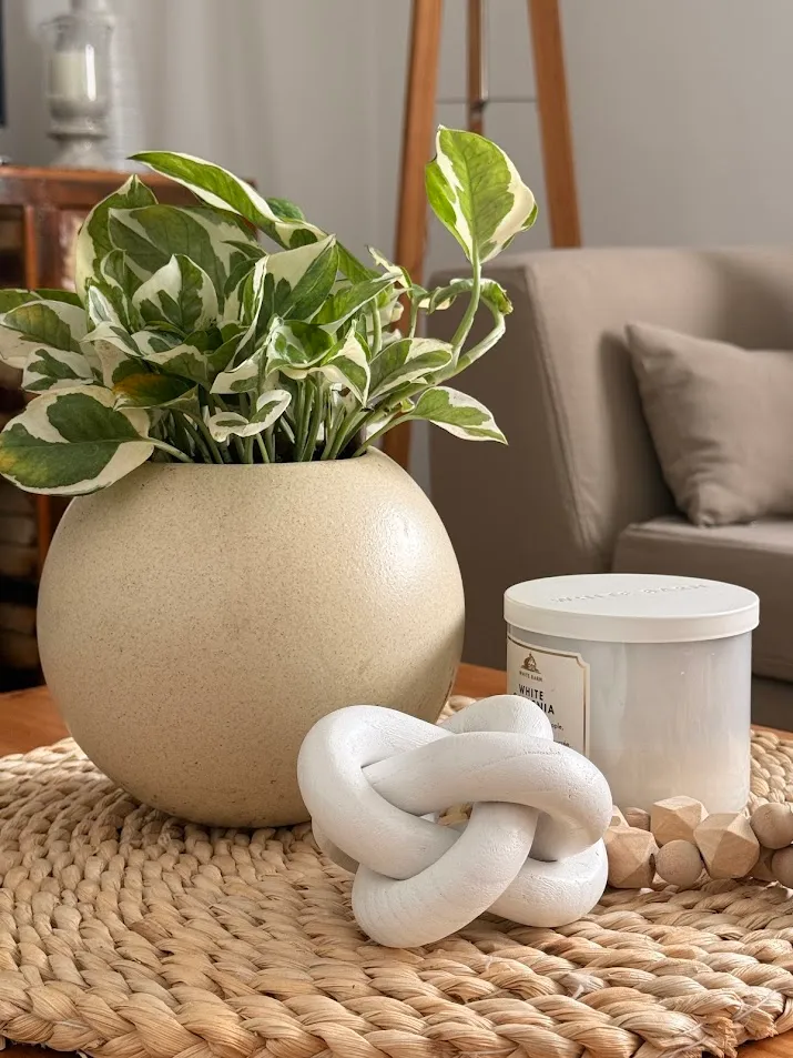 Potus variegado en una maceta esférica junto a un objeto decorativo blanco